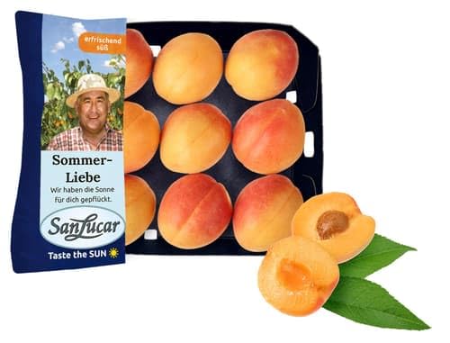 SanLucar Aprikosen Schale (0.6 kg)