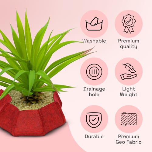 Image of Geo Fabric Grow Bags for Plants 10X3 Inch (Pack of 5) | 400 GSM Heavy Duty UV-Protected Round Maroon Colour Plant Bags for Terrace and Vegetable Gardening | Strong & Reusable|