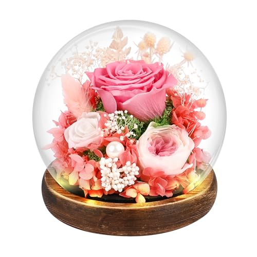 Rosa Eterna Natural Preservada, Rosa Eterna con Luces Led, Ramo Flores En Cúpula De Cristal, Navidad Regalos Mujer Mama, San Valentin Regalo Dia De La Madre (B)