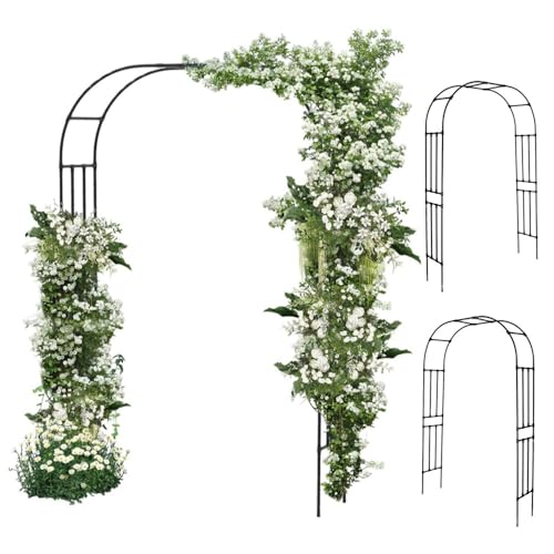 Arche de jardin extérieure facile à assembler cadre métal robuste