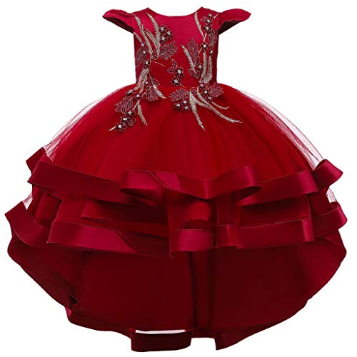 ASHOP Enfants Fille Robe De Princesse Longue Demoiselle d'honneur Robe De SoiréE d'enfant Partie De Mariage, Robes De Tutu Formelles Carnaval Photographie Dance Prom Anniversaire FêTe