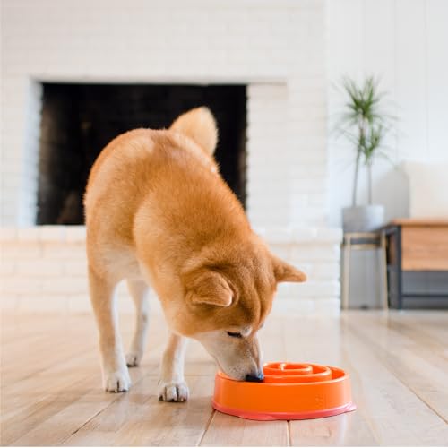 Outward Hound Fun Feeder Slo Bowl - Anti-Schling-Hundenapf für gesundes, langsames Fressen, zum Vorbeugen von Blähungen, mittelgroß/Mini, orange