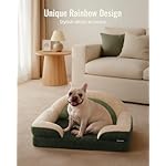 Blissful Diary Foam Dog Bed Medium Size, Pet Sofa with Washable Cover and Waterproof Liner, Soft Teddy Plush with Rainbow Design (Green) - Image 3