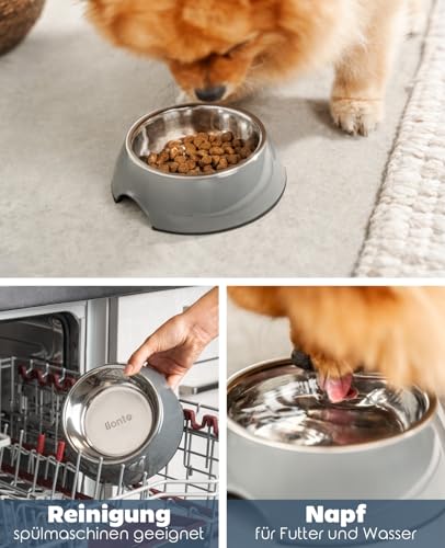 lionto Futternapf aus Melamin mit Anti-Rutsch Boden, herausnehmbarer 210 ml Napf aus robustem & geruchsneutralem Edelstahl, leicht zu reinigen, ergonomisches Design, für Hunde & Katzen, grau