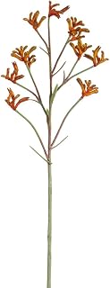 28" Artificial Kangaroo Paw Flower Stem -Orange/Rust (Pack of 12)