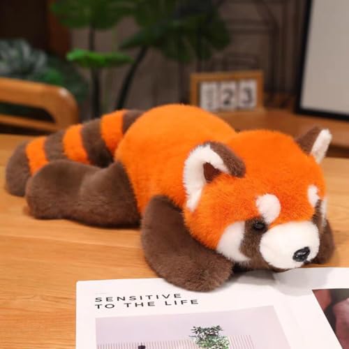レッサーパンダクラシック50cm特大ぬいぐるみガーフィールドDVDセット レッサーパンダクラシック50cm特大ぬいぐるみガーフィールドDVD