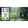 Maker hart DELAY/DELAYTUSK Multi-Mode Delay Pedal with TAP Function, MODULATE & TAPE Delay Modes, and 20-Second Looper guitar effect pedal