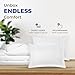 THREAD SPREAD Queen/Full Duvet Cover, 600 Thread Count Sateen 3Pc Egyptian Cotton Duvet Cover Set, 100% Pure Cotton Comforter Cover, 2 Pillow Shams, Zipper Closure, 7 Corner Ties - (White)