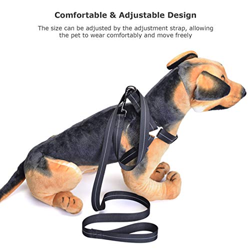 DECDEAL Arnês para animais de estimação OSOSE com conjunto de trela de 59 polegadas para andar à pro