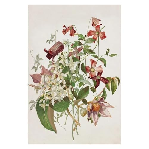 Affiche botanique fleurs sauvages marguerites oeillets deco murale toile 50x70