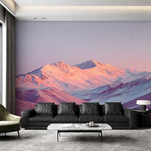 Fresque Murale Intissé pour Agrandir une Grande Chambre Parentale - 3
