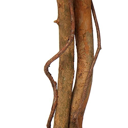 Plant Artificial Ficus Tree 6Ft In Cotton Pot Fake Silk Plant With Green White Leaves Natural Trunk For Indoor Outdoor Home Garden Decor #TOP4