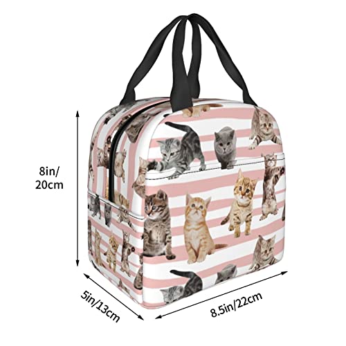 Docsckus Insulated Lunch Bag Water-Resistant Cooler Tote Box With Zipper For Women Work Picnic Travel Cat #TOP5
