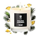 Lulu Candles | Pineapple Evergreen | Luxury Scented Soy Jar Candle | Hand Poured in The USA | Highly Scented Candles for Home Fragrance & Decor (9 Oz.)