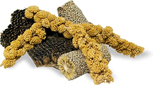 JR FARM Knabber-Stücke 50g