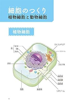 よくわかる! 「はたらく細胞」 細胞の教科書 (KCデラックス) | 清水 茜