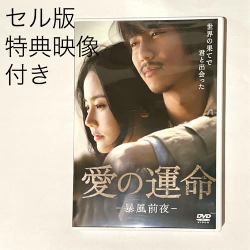 特典映像67分 愛の運命 暴風前夜 字幕のみ DVD キムナムギル セル版のサムネイル