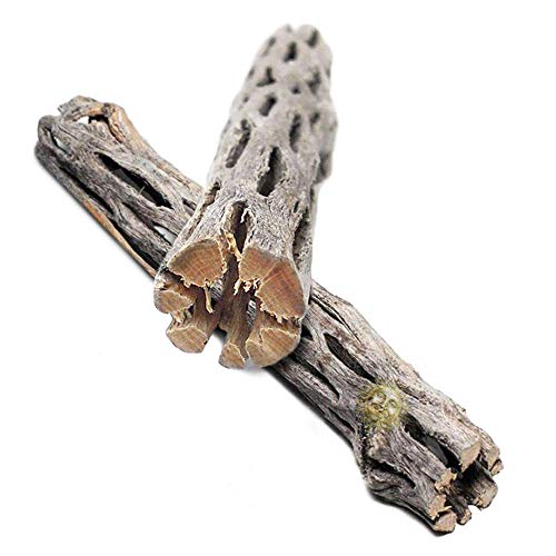 SunGrow Cholla Wood, 6 Inches Long, Encourage Exercise, Create Basking Spot, Creative Addition to DIY Home Crafts, Great Accent Piece, 2-Pieces