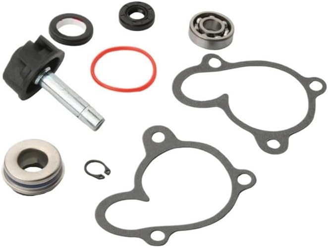 Water Pump Repair Kit for Vt250 Lo 250 300 Ke300 Mn Pd Sr 250cc 4T