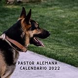  Calendario Pastor Alemana 2022: Con días Festivos USA  Planificador de 12 meses Enero de 2022 - Diciembre de 2022 Calendario  Regalos Para Amantes De Los Gatos