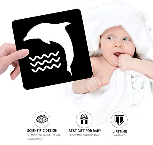 Mintlife Cartes Flash Contrastees Pour Bebe 8 4 1 Pack Amazon Ca Jeux Et Jouets