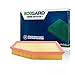 Ecogard XA5620 Premium Engine Air Filter Fits BMW 2008-2011, 530i 2004-2007, 530xi 2006-2007, 525i 2.5L 2004-2005, 528i xDrive 2009-2010, 528xi 3.0L 2008