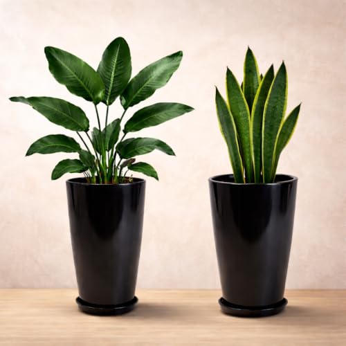 Image of Urban Upvan 14 Inch Solid Black Flower Pot with Tray - Large Round Planter for Indoor & Outdoor Plants, Durable Decorative Plant Container (Pack of 2)