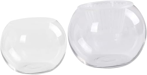 ARTIBETTER Jarrón hidropónico de vidrio transparente, 2 piezas, decorativo para escritorio, para oficina en casa y hotel, para flores eternas y