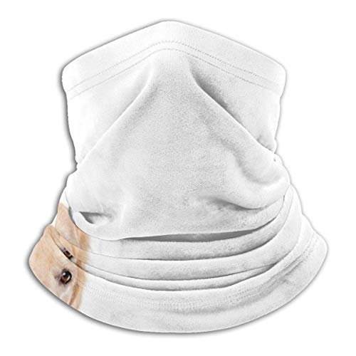 CVDGSAD Perros y gatos. Polaina calentador de cuello, funda de máscara de esquí Polar Fleece para clima frío invernal y mantener el calor