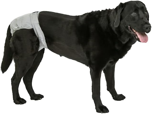 PoochPads Reusable Dog Diaper - Large - 35-55LB - For Dogs with Incontinence, Excitable Urination, Post-Surgery Recovery - Machine Washable - 1 Pack