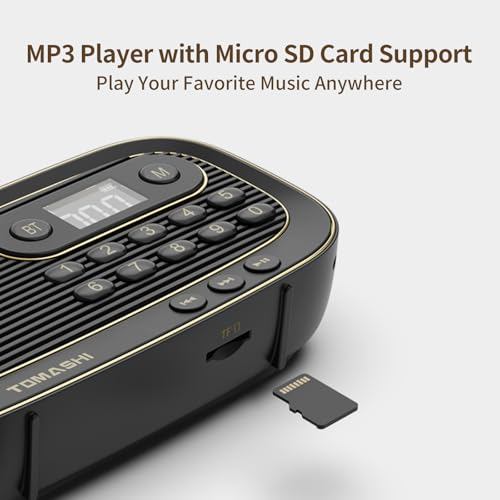 Radio FM portable Bluetooth avec autonomie Type-C et lecture micro SD - 5