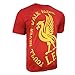 Icon Sports Official Liverpool FC Cotton T-Shirt - Unisex Adult - LP130CT Red L