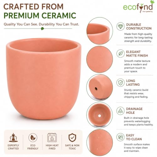 Image of ecofynd 5 Inch Ceramic Plant Pots with Drainage Hole, Modern Decorative Clay Flower Pots for Indoor Plants, Home Garden Decor for Living Room, Bedroom & Interior Spaces (Pack of 2, CPOT041-PNK)