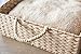 PetPals Hand Made Paper Rope Round Bed for Cat/Dog/Pet Sleep with Pillow, Natural (Rectangle)