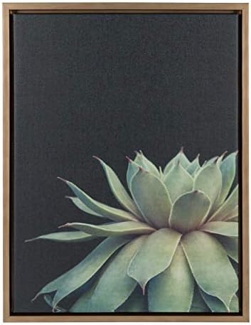 Kate and Laurel Sylvie Succulent Plant Framed Canvas Wall Art, Botanical Green with Black Background, 18x24 Gold