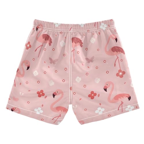 Flamingo 1 Boys Swim Trunks Toddler Shorts Swimwear Boardshorts2