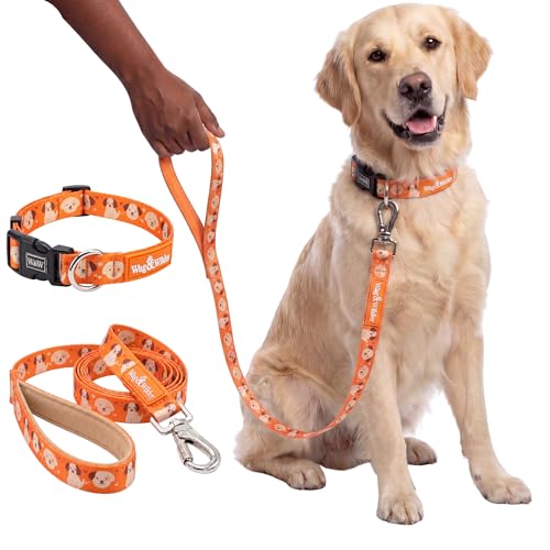 Image of Wag and Wilder Heavy Duty Dog Collar and 5 FT Leash Set for Large Dogs - Quick Release Buckle, Neoprene Padded Handle & Strong Metal Hook (Puppy Parade Orange)