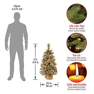 National Tree Company Pre-lit Artificial Mini Christmas Tree | Includes Small White LED Lights, White Tipped Cones, Glitter Branches Pine Cones and Cloth Bag Base | Glittery Bristle Pine - 3 ft National Tree Company Pre lit Artificial Mini Christmas Tree Includes Small White LED Lights White Tipped Cones Glitter Branches Pine Cones and Cloth Bag Base Glittery Bristle Pine 3 ft