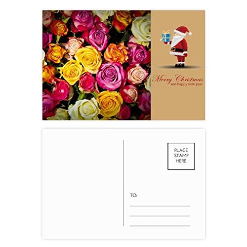 Cartes postales de Père Noël en lot de 20 pour accompagner vos cadeaux de Noël et voeux