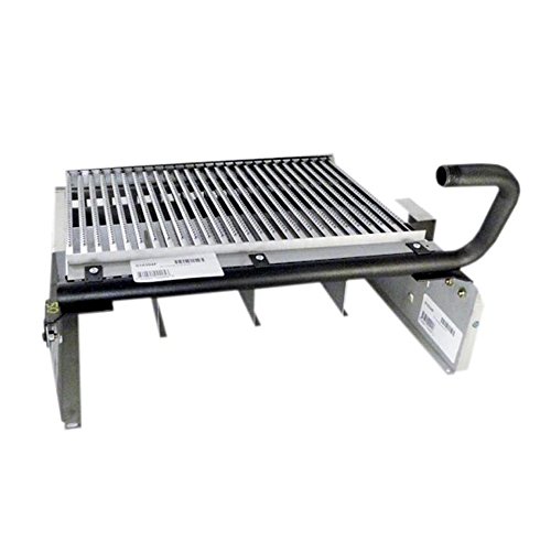 Raypak Burner Tray with Burners R406A 010394F