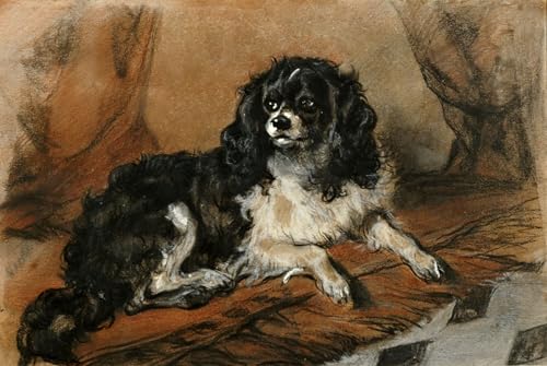 Tableau Toile King Charles Spaniel Edwin Landseer pour Décoration Salon Cosy