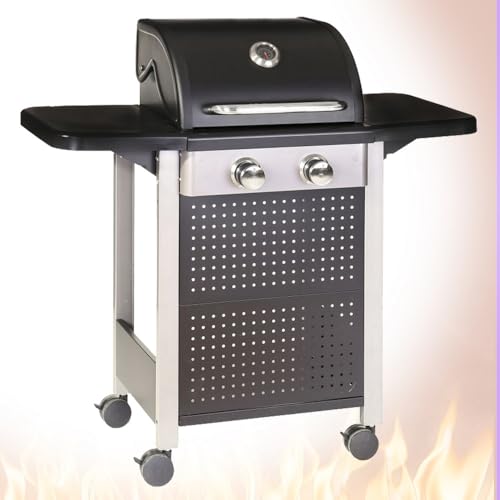 LOLAhome Barbacoa de Gas 2 Quemadores | De 116x52x110cm | Función horno y ahumador, termómetro, encendido automático, fácil montaje, fácil guardado | Para 10 comensales | Barbacoa jardín