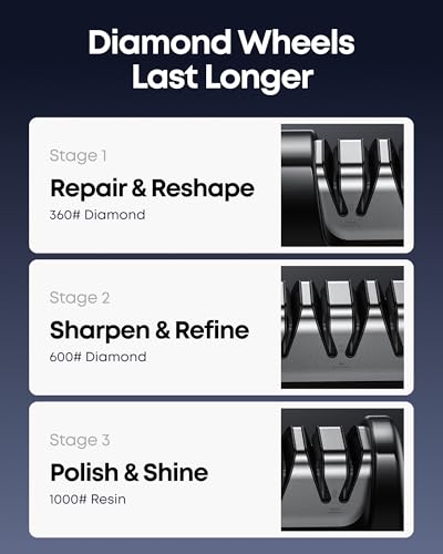 Professional Electric Knife Sharpener