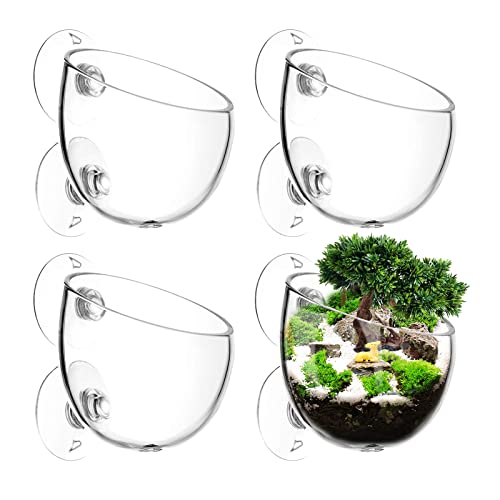 4 PCS Aquatic Plant Pot Aquarium Décoratif Cristal Verre Verre Tasse Porte-Plantes Tasse Pot Plante Coupe pour Plantes D&rsquo;aquarium, avec 8 × Ventouses
