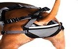Chastity Belt for Dogs - Pet Anti-Breeding System (PABS), Small