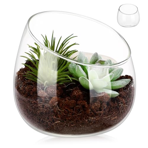 Jarrones Cristal Redondo Marca BESPORTBLE