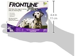 comfortis for dogs amazon