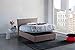 Talamo Italia Lit Coffre Anna double, Made in Italy, Lit avec revêtement en tissu, Ouverture frontale, avec matelas 120x200 cm inclus, Taupe