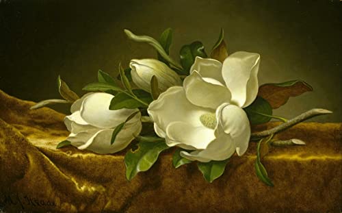Tableau Magnolias par Martin Johnson Heade, impression d'art sur toile 60x90cm