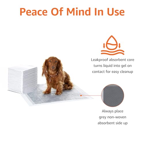 Amazon Basics Trainingspads für Hunde und Welpen mit Kohlenstoff zur Geruchskontrolle, auslaufsicheres Design mit schnell trocknender Oberfläche, Regulär(80 Stück), Grau